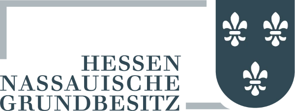 Logo HNG